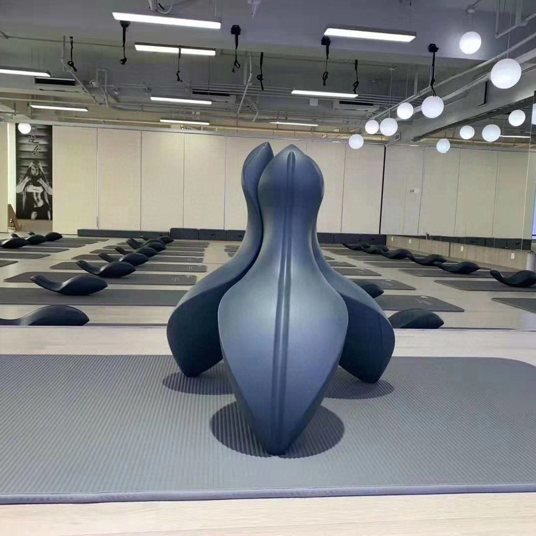 Pilates Yoga Joint - Ruggengraatcorrector, rugtraining, gewrichten, pilates, yoga hulpmiddelen